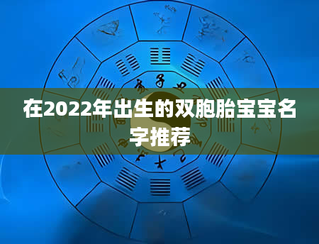 在2022年出生的双胞胎宝宝名字推荐