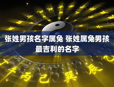 张姓男孩名字属兔 张姓属兔男孩最吉利的名字