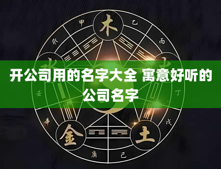 开公司用的名字大全 寓意好听的公司名字