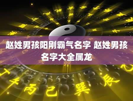 赵姓男孩阳刚霸气名字 赵姓男孩名字大全属龙