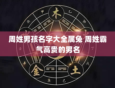周姓男孩名字大全属兔 周姓霸气高贵的男名