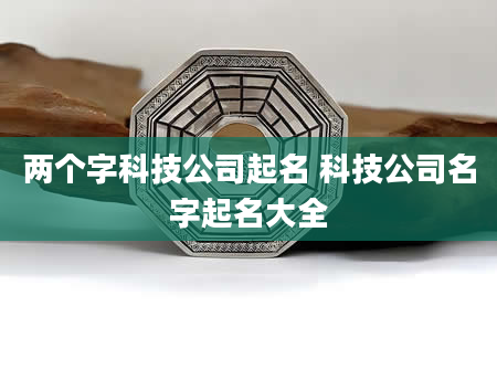 两个字科技公司起名 科技公司名字起名大全