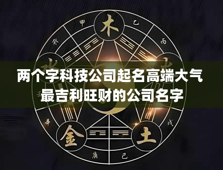 两个字科技公司起名高端大气 最吉利旺财的公司名字