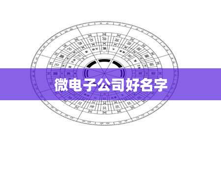 微电子公司好名字