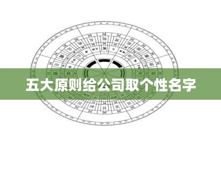 五大原则给公司取个性名字