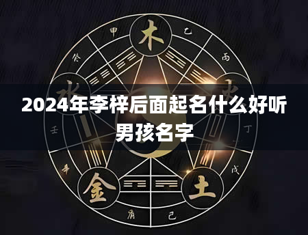 2024年李梓后面起名什么好听男孩名字