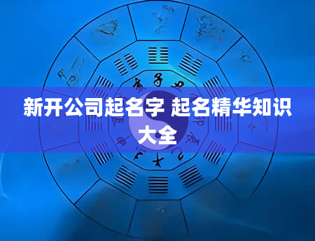 新开公司起名字 起名精华知识大全