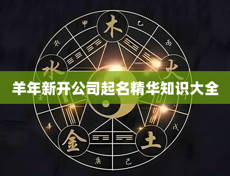 羊年新开公司起名精华知识大全