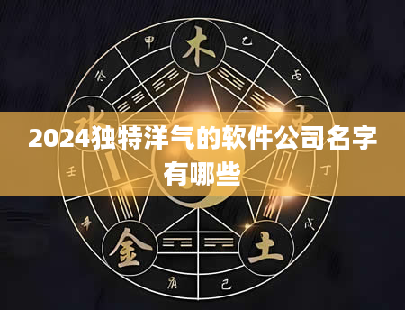 2024独特洋气的软件公司名字有哪些
