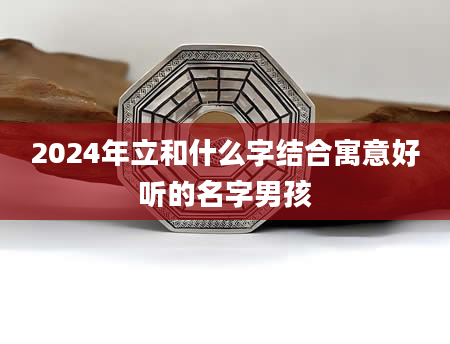 2024年立和什么字结合寓意好听的名字男孩
