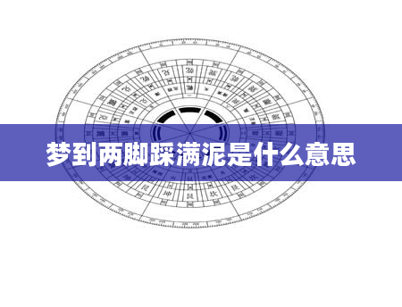 梦到两脚踩满泥是什么意思