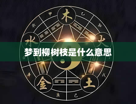梦到柳树枝是什么意思