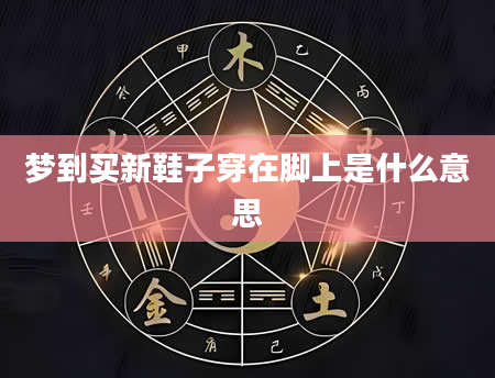 梦到买新鞋子穿在脚上是什么意思