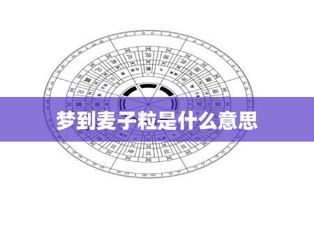 梦到麦子粒是什么意思