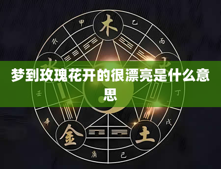 梦到玫瑰花开的很漂亮是什么意思