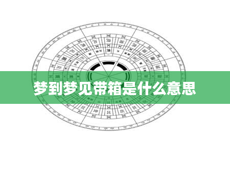 梦到梦见带箱是什么意思