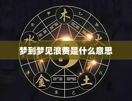 梦到梦见浪费是什么意思