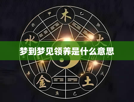 梦到梦见领养是什么意思
