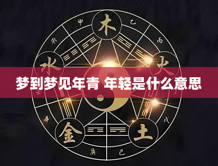 梦到梦见年青 年轻是什么意思