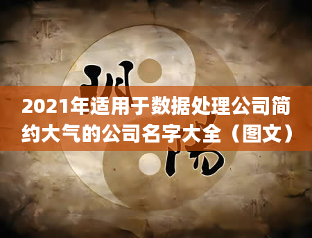 2021年适用于数据处理公司简约大气的公司名字大全（图文）