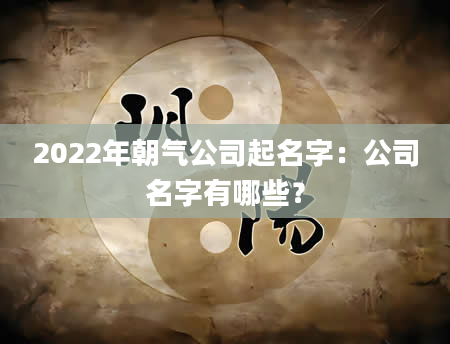 2022年朝气公司起名字：公司名字有哪些？