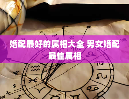婚配最好的属相大全 男女婚配最佳属相