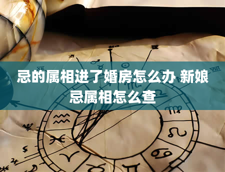 忌的属相进了婚房怎么办 新娘忌属相怎么查