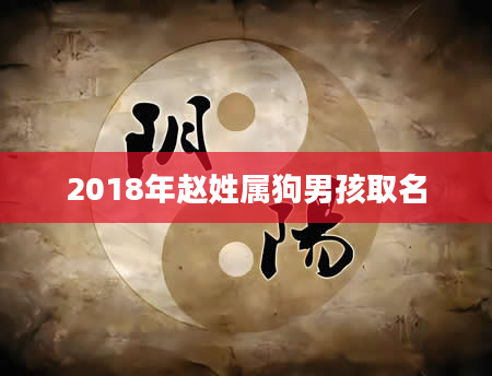 2018年赵姓属狗男孩取名