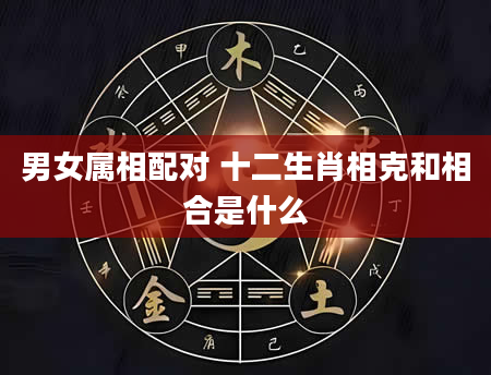 男女属相配对 十二生肖相克和相合是什么