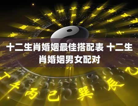 十二生肖婚姻最佳搭配表 十二生肖婚姻男女配对