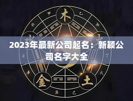 2023年最新公司起名：新颖公司名字大全