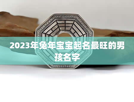 2023年兔年宝宝起名最旺的男孩名字