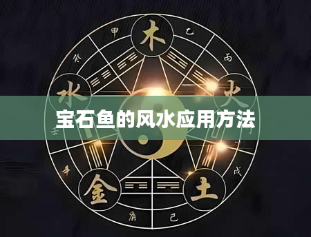 宝石鱼的风水应用方法