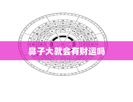 鼻子大就会有财运吗