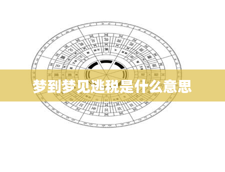 梦到梦见逃税是什么意思
