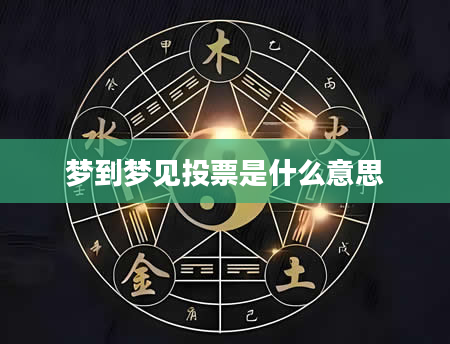 梦到梦见投票是什么意思