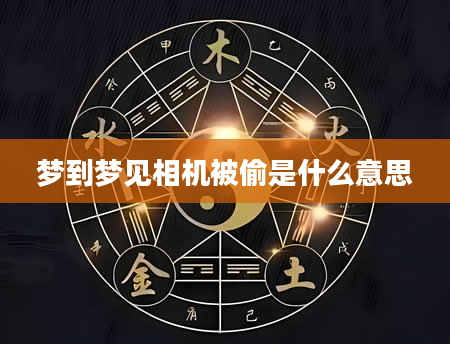 梦到梦见相机被偷是什么意思