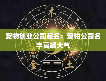 宠物创业公司起名：宠物公司名字高端大气