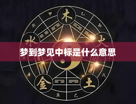 梦到梦见中标是什么意思