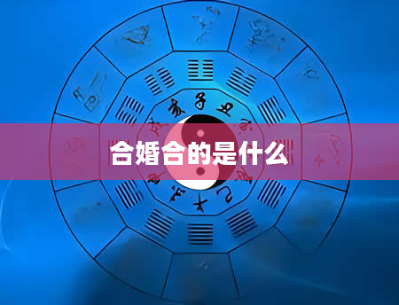 合婚合的是什么