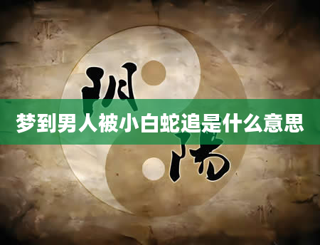 梦到男人被小白蛇追是什么意思