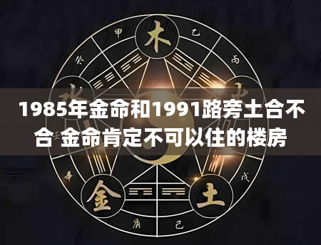 1985年金命和1991路旁土合不合 金命肯定不可以住的楼房