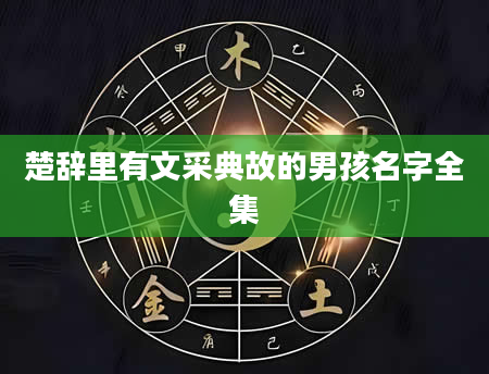 楚辞里有文采典故的男孩名字全集