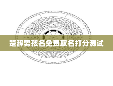 楚辞男孩名免费取名打分测试