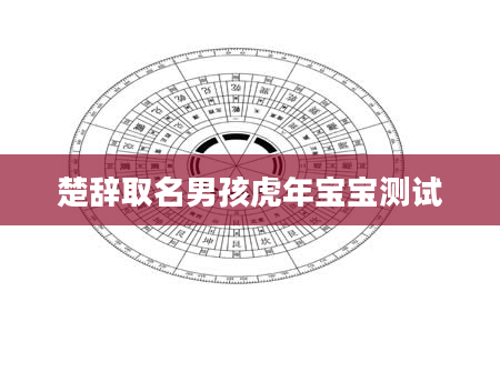 楚辞取名男孩虎年宝宝测试
