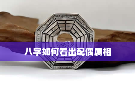 八字如何看出配偶属相