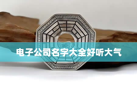 电子公司名字大全好听大气