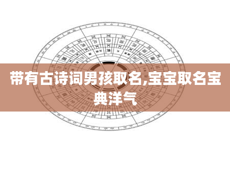 带有古诗词男孩取名,宝宝取名宝典洋气