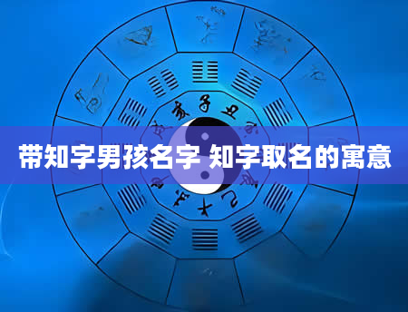 带知字男孩名字 知字取名的寓意