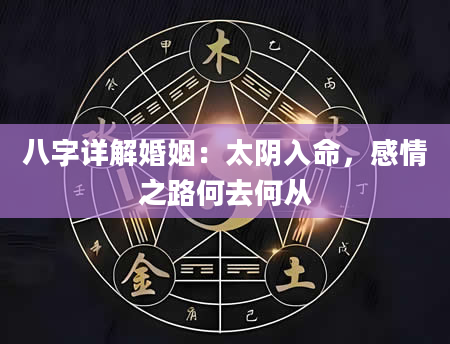 八字详解婚姻：太阴入命，感情之路何去何从